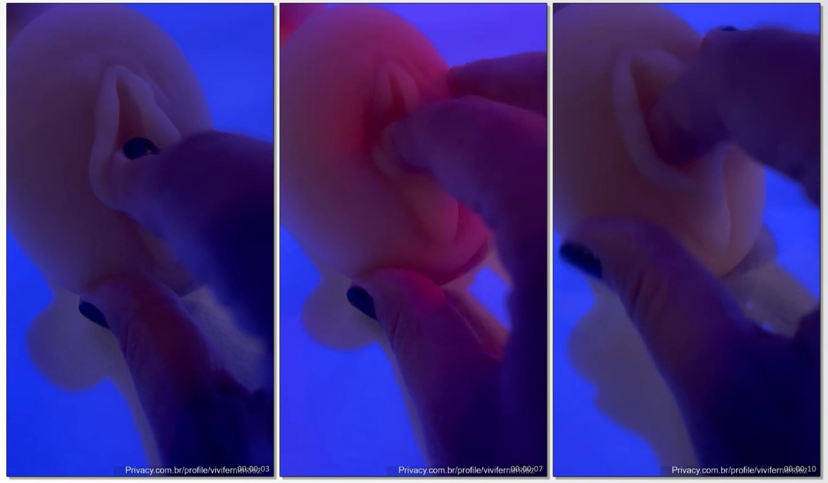 Vivi Fernandes enfiando o dedo na xoxota e usando um pau de borracha para gozar